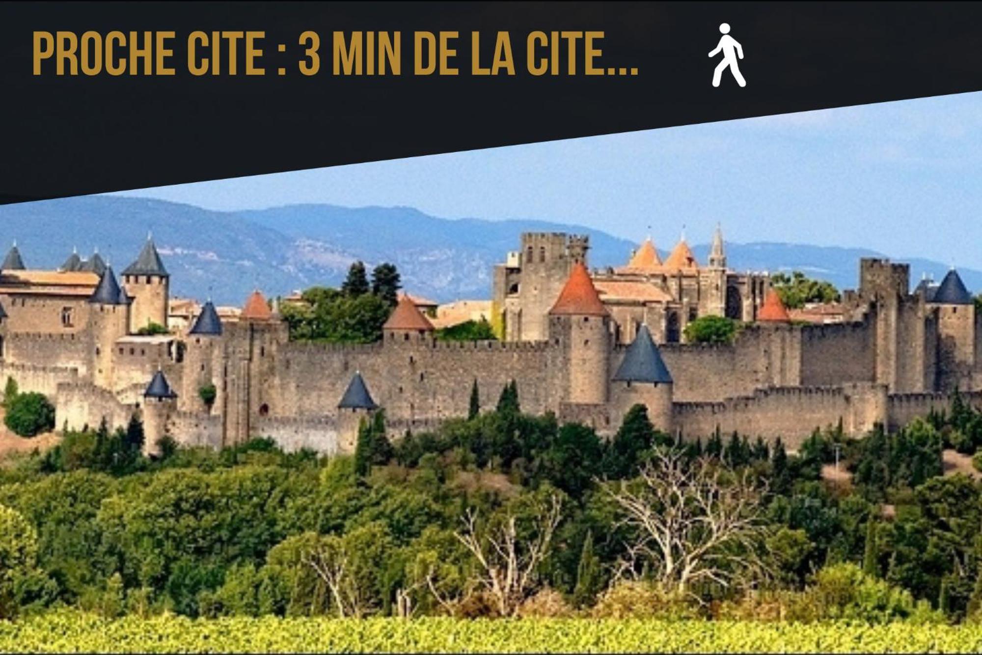 Les Gites De Laure - L'Or Vert, Appartement Avec Vue Sur Le Chateau, Parking Prive, Climatisation, Netflix, A 160 M De La Cite Medievale Carcassonne Buitenkant foto